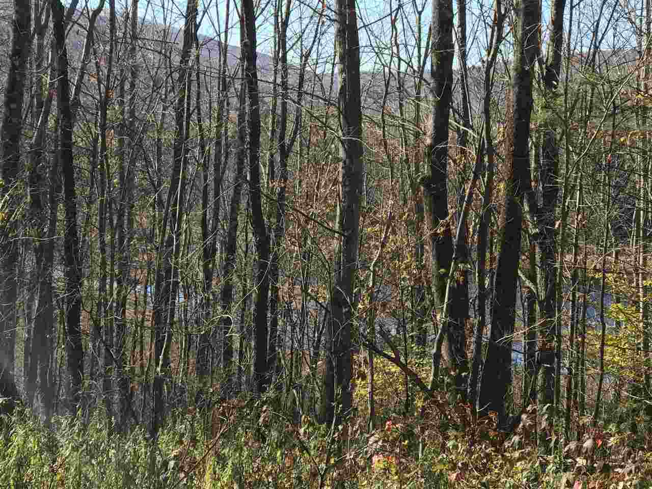 0 Grand View Lodge Road Plymouth, VT 05056 - Photo 22 of 23