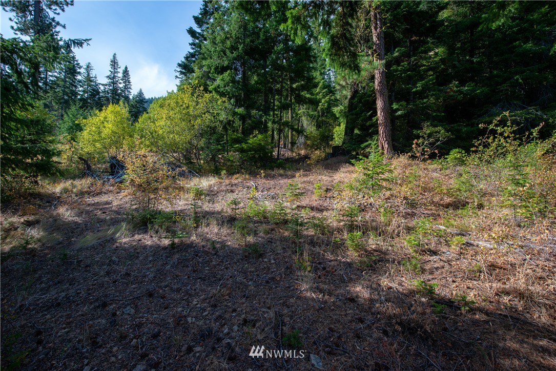 1110 Alice Road Cle Elum, WA 98922 - Photo 5 of 27 Gallery Image 5