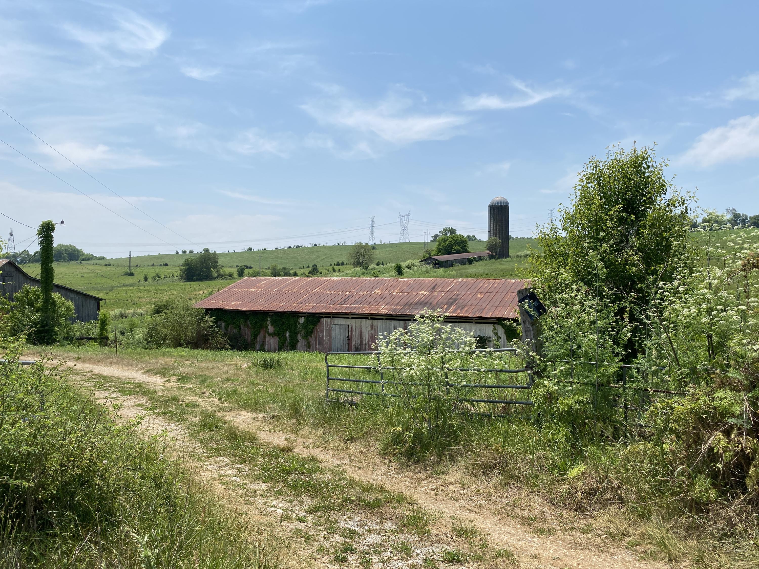 Clark Road Rutledge, TN 37861 - Photo 2 of 17 IMG_1352
