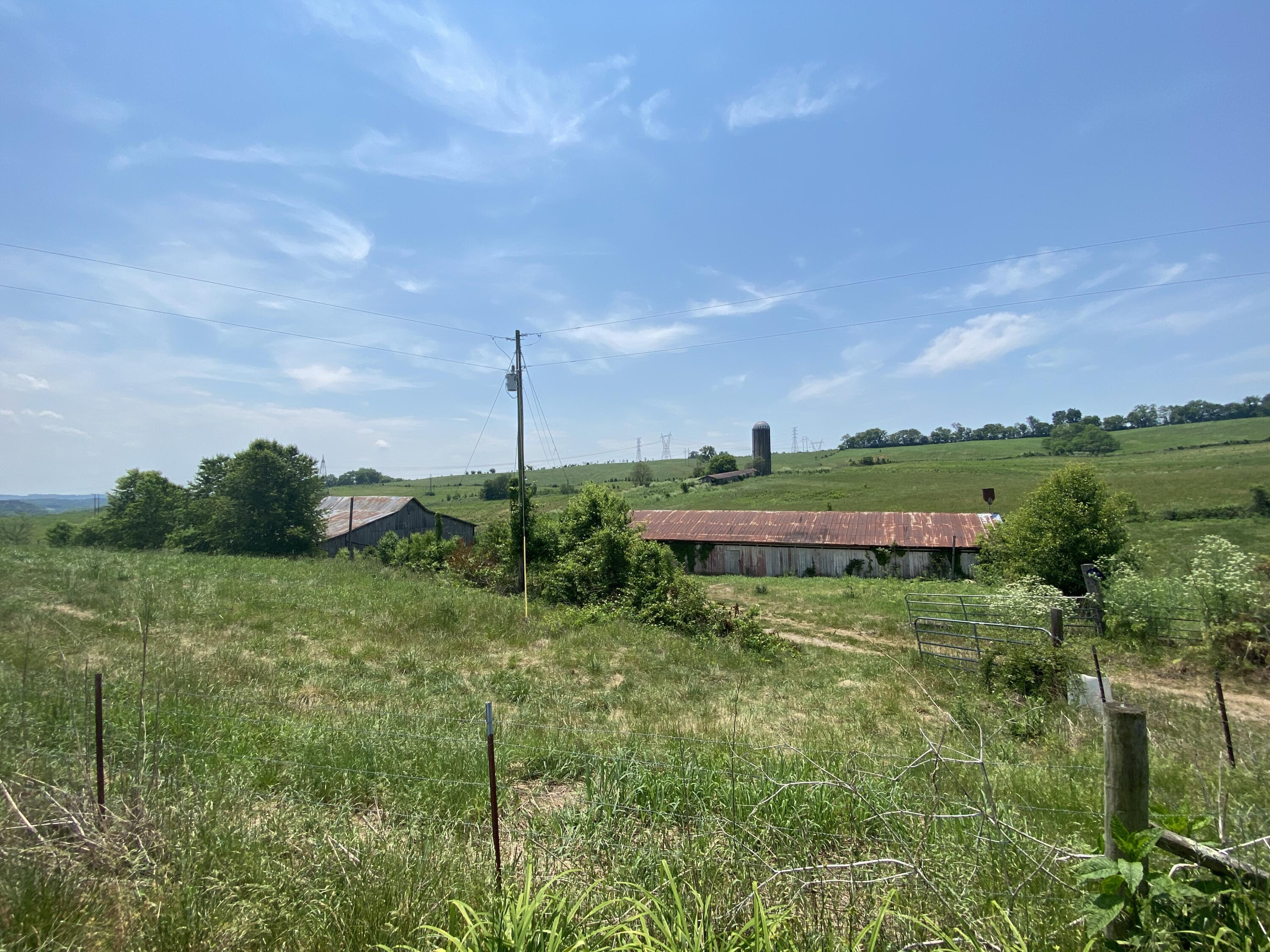Clark Road Rutledge, TN 37861 - Photo 3 of 17 IMG_1353