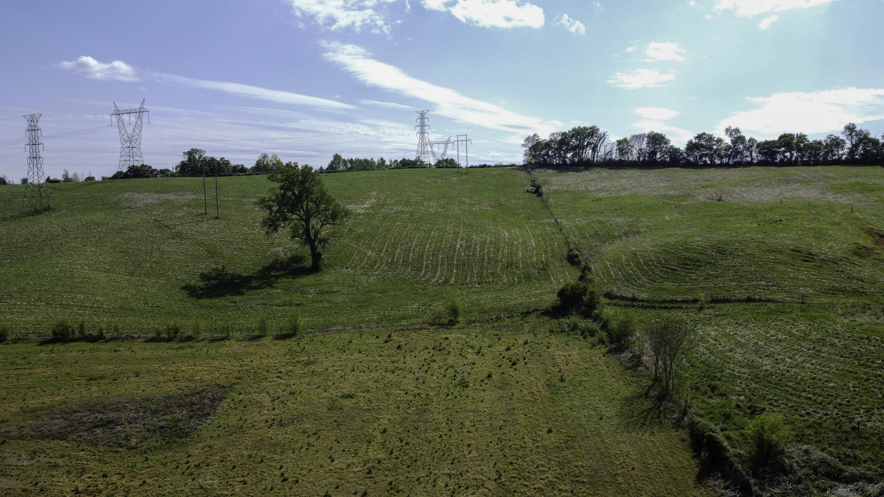 Clark Road Rutledge, TN 37861 - Photo 7 of 17 DJI_0044