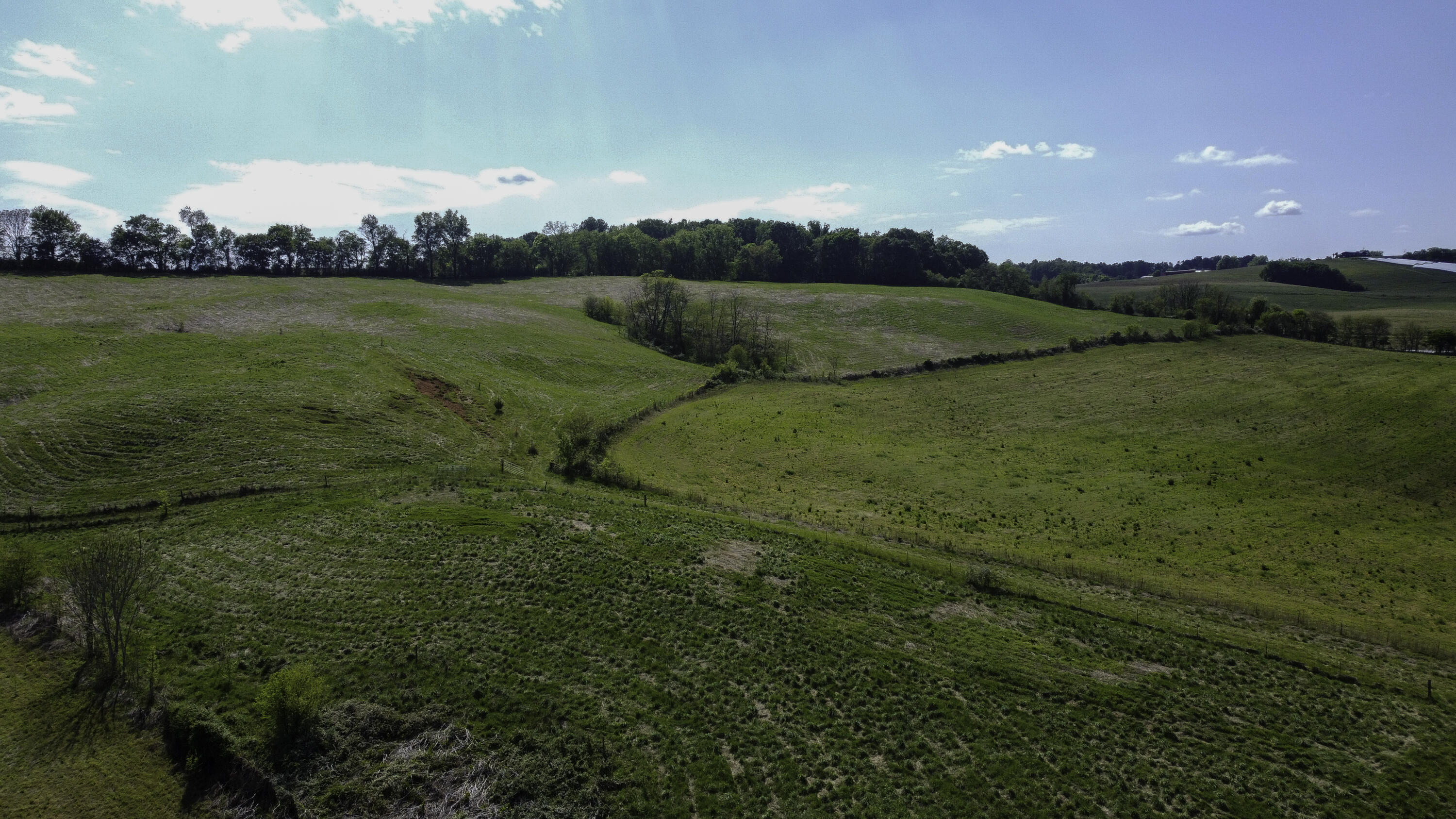 Clark Road Rutledge, TN 37861 - Photo 8 of 17 DJI_0045