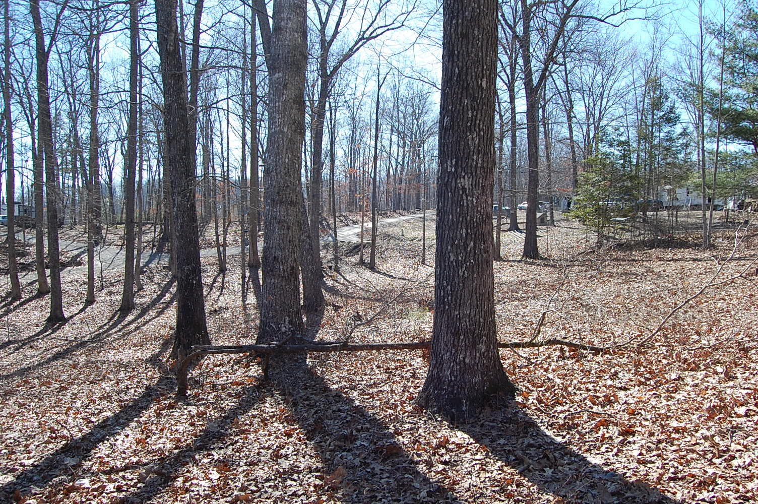 536 Skiview Drive Dunlap, TN 37327 - Photo 24 of 30 Gallery Image 24