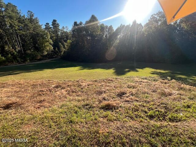 171 Mountain Springs Church Road Macon, GA 31217 - Photo 12 of 13