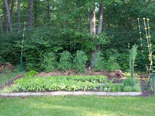 6564 Lake Mildred Road Rhinelander, WI 54501 - Photo 17 of 20 Gallery Image 17