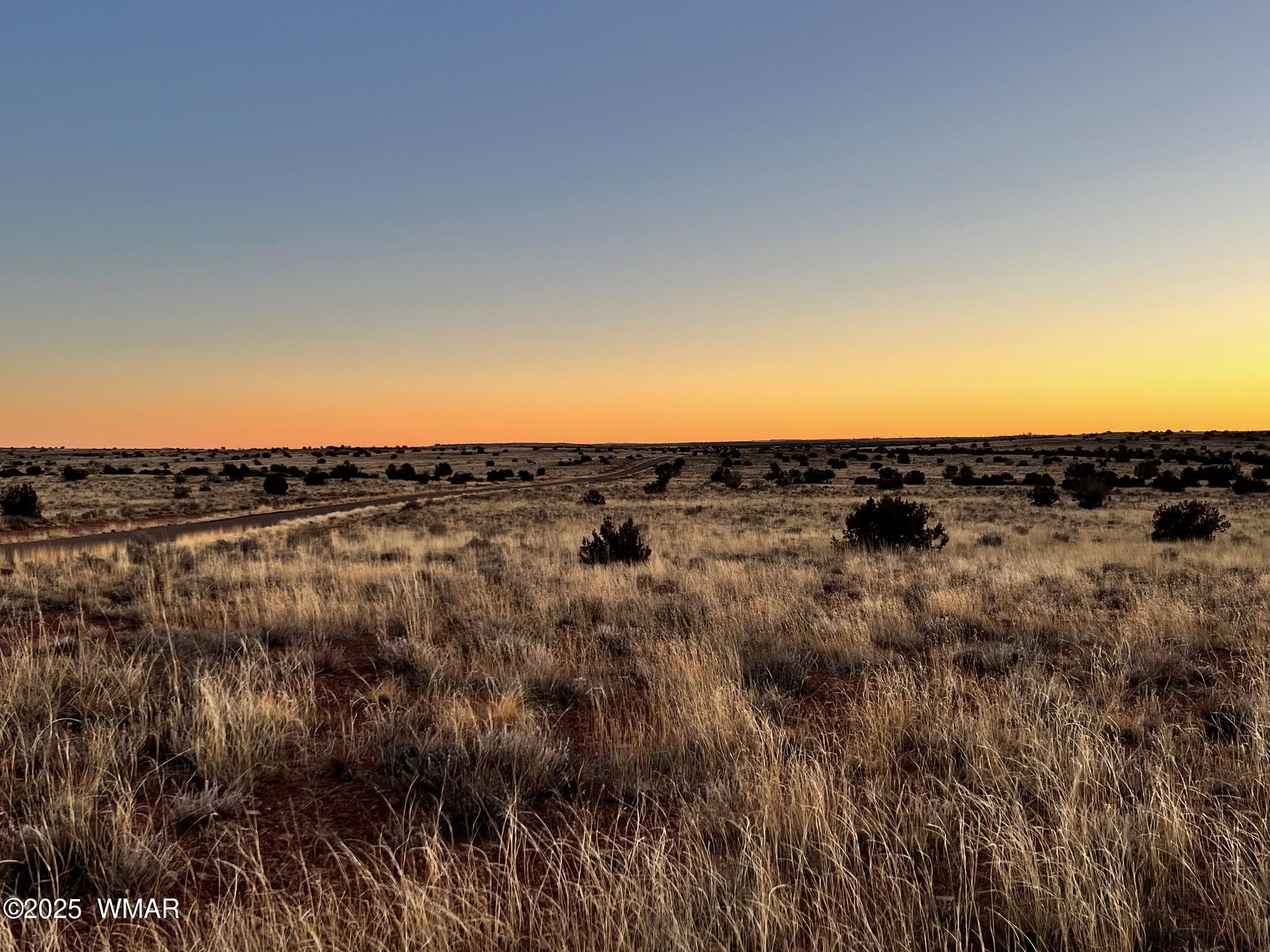 5175 Old Woodruff Road Snowflake, AZ 85937 - Photo 9 of 15 IMG_2265