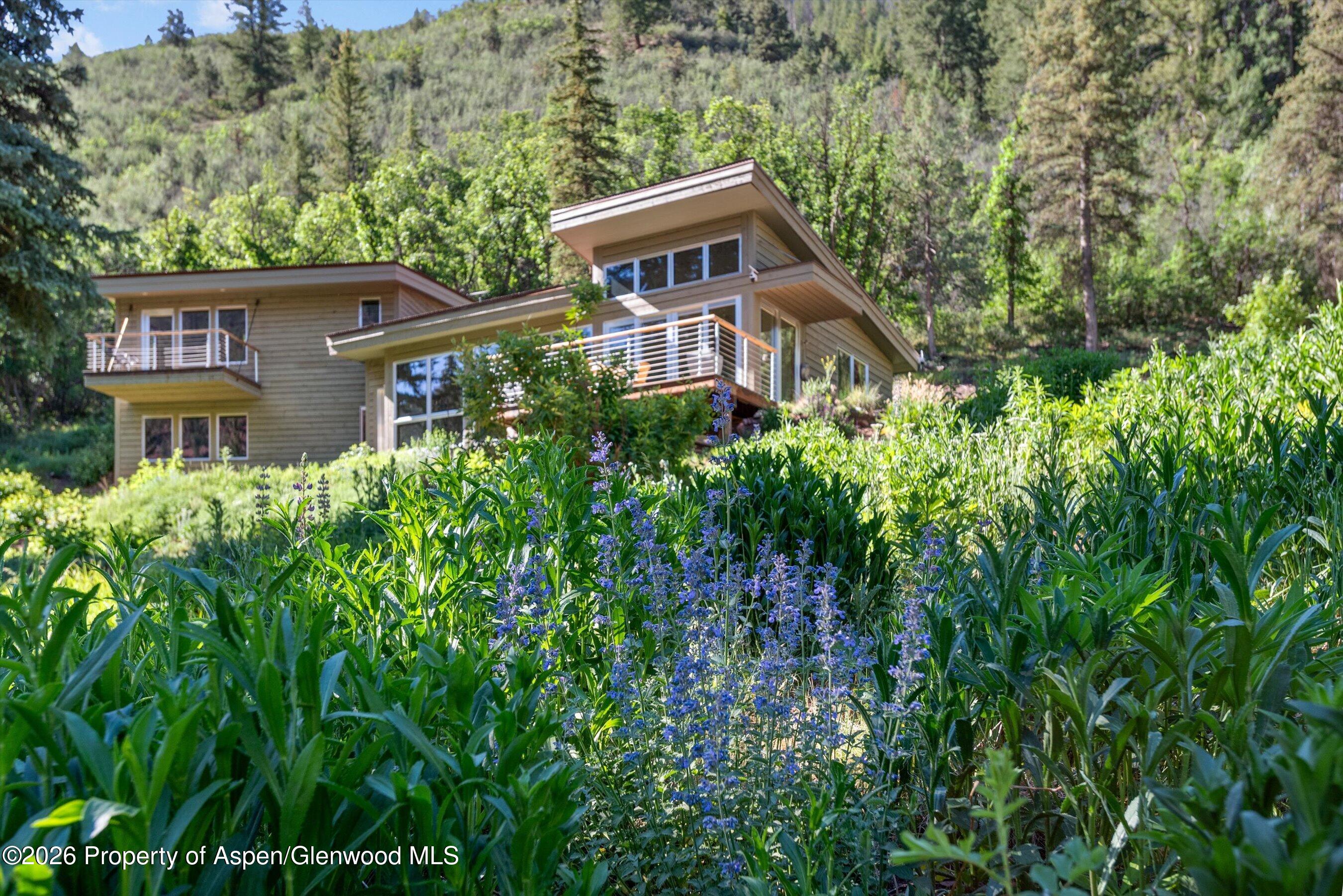 768 Kings Lake Road Basalt, CO 81621 - Photo 4 of 41 001-768KingsLake_06192026001