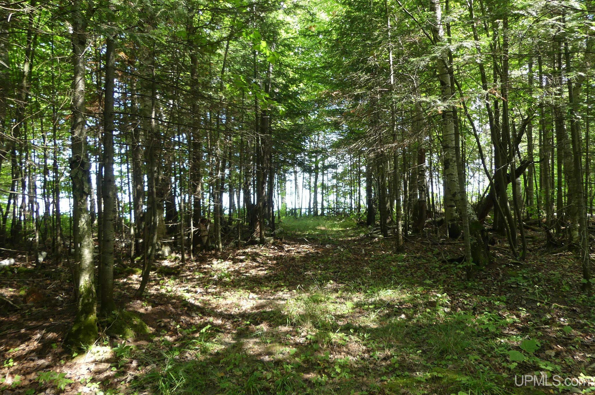 Tbd East Webb Road Grand Marais, MI 49839 - Photo 11 of 27 Gallery Image 11