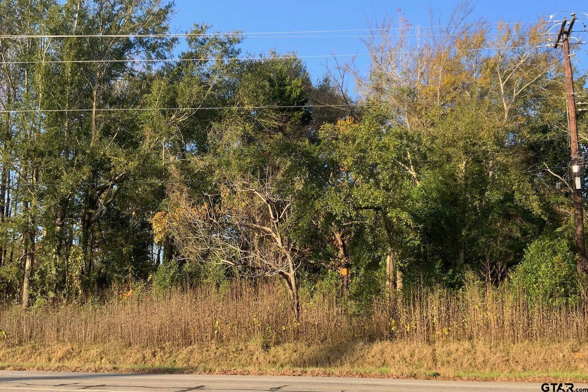 6313 Rhones Quarter Road Tyler, TX 75707 - Photo 2 of 4 a view of a yard