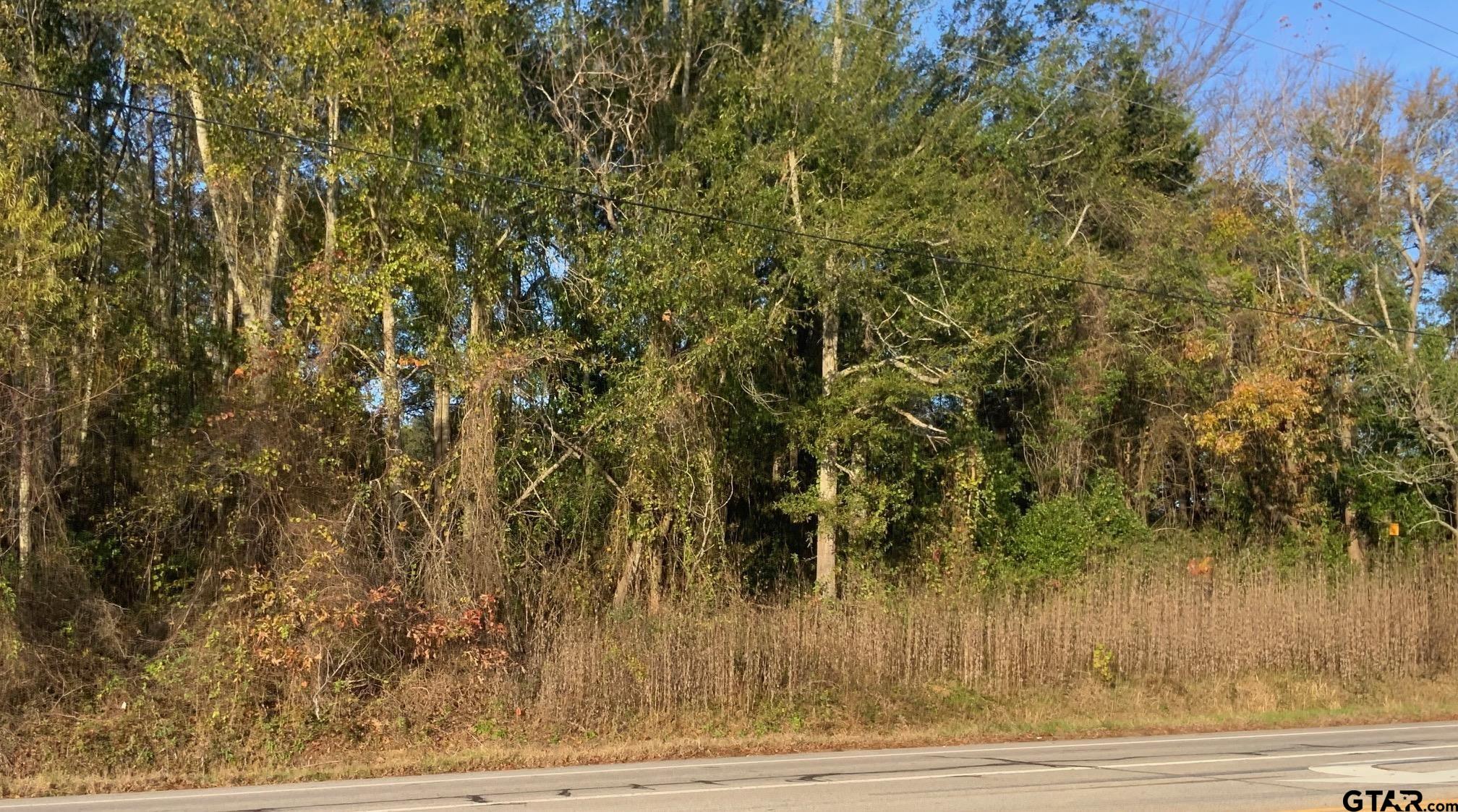 6313 Rhones Quarter Road Tyler, TX 75707 - Photo 3 of 4 a view of a yard