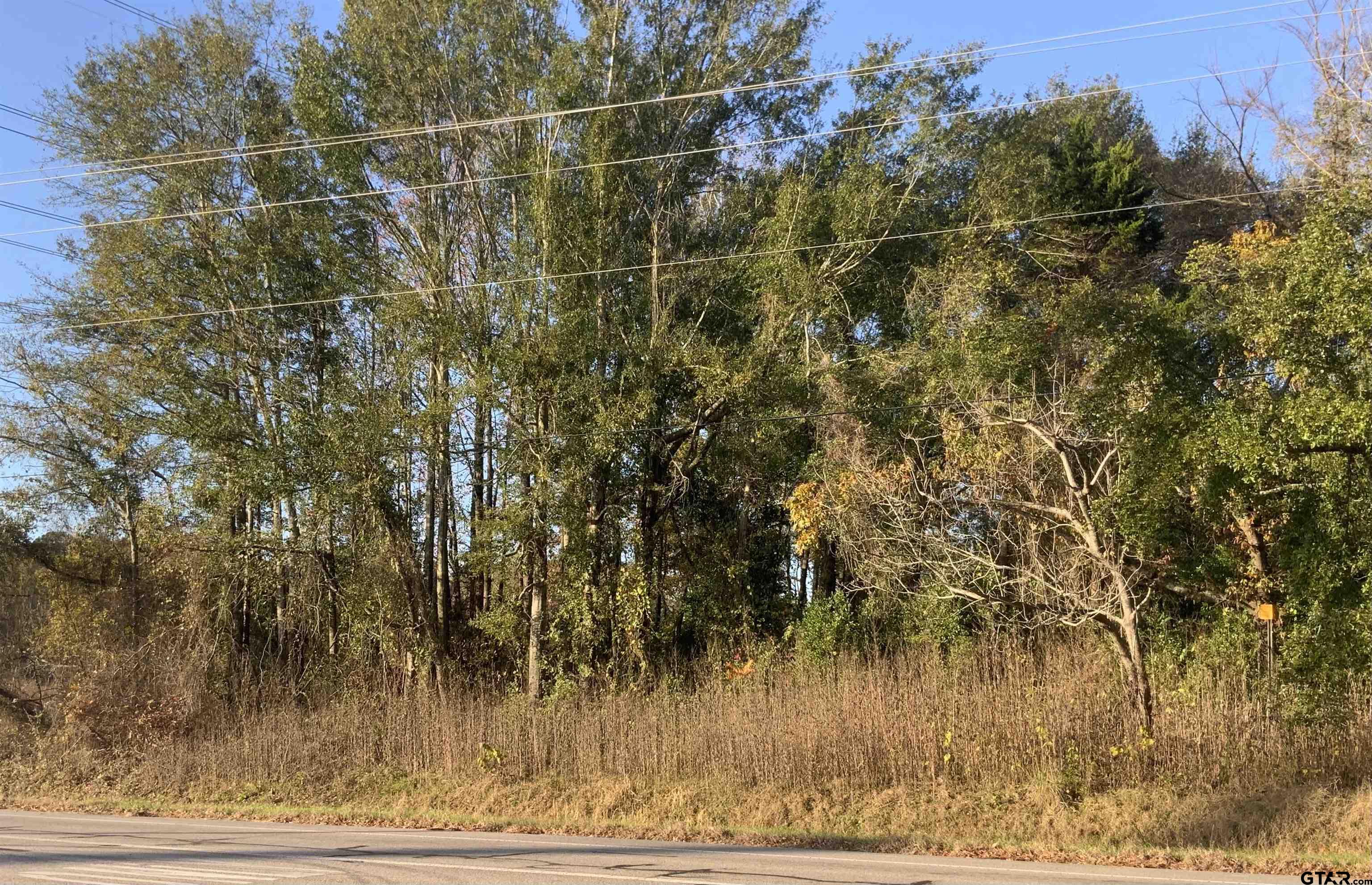 6313 Rhones Quarter Road Tyler, TX 75707 - Photo 4 of 4 a view of a yard