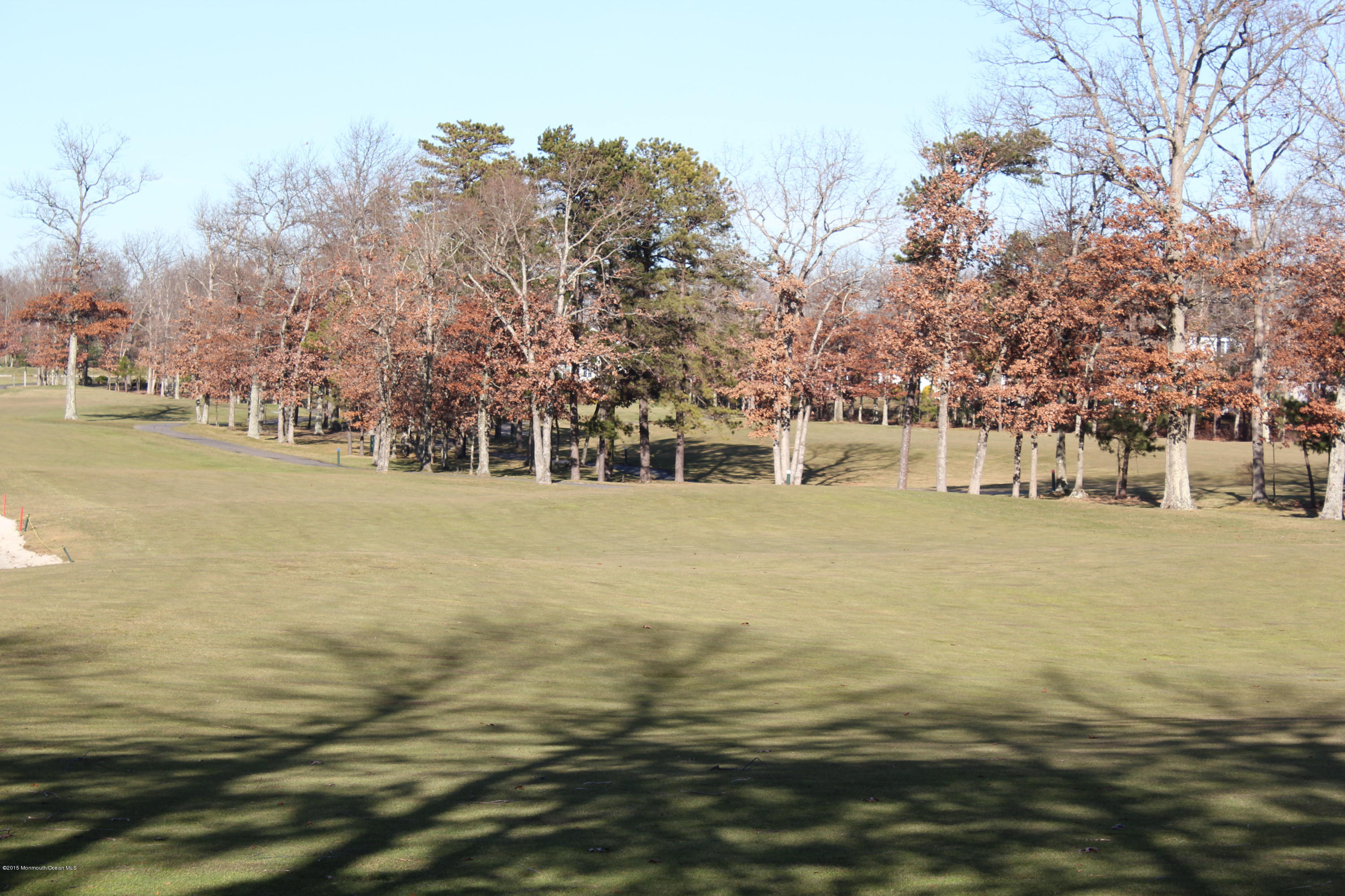 45 Congressional Road Jackson, NJ 08527 - Photo 69 of 74 View out back1