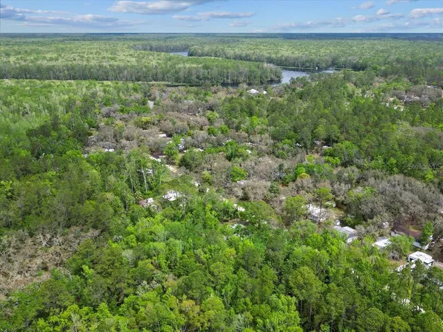 a view of a field of grass and trees