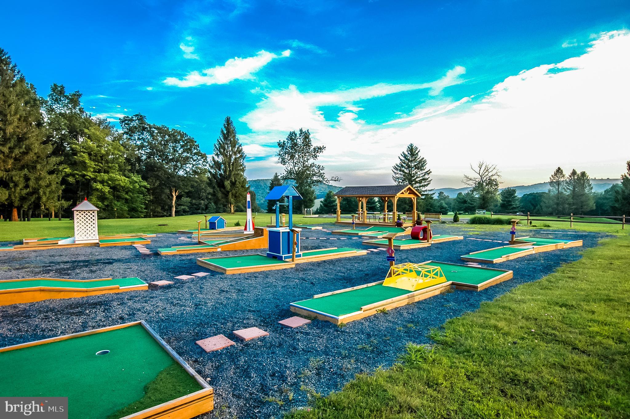 32 Bavarian Rhododendron Terra Alta, WV 26764 - Photo 13 of 15