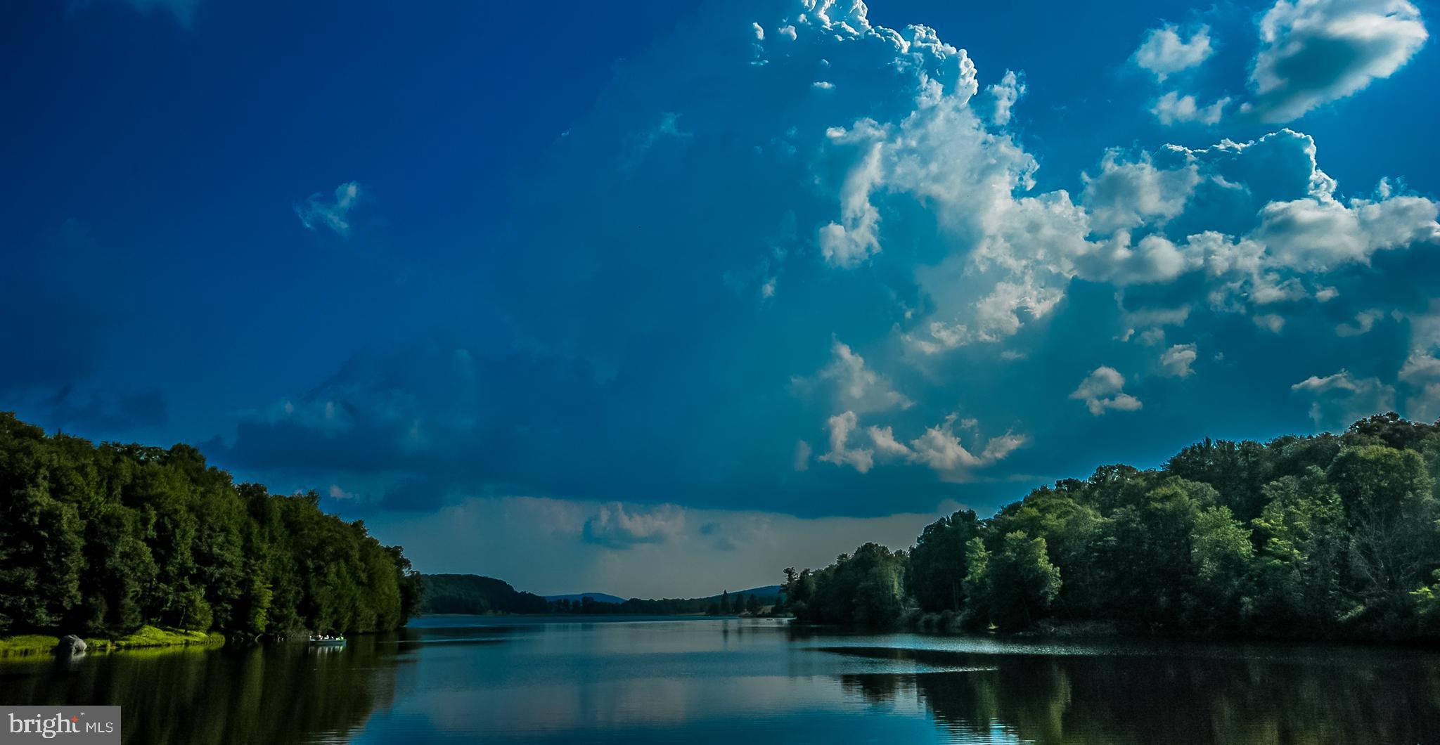 32 Bavarian Rhododendron Terra Alta, WV 26764 - Photo 3 of 15