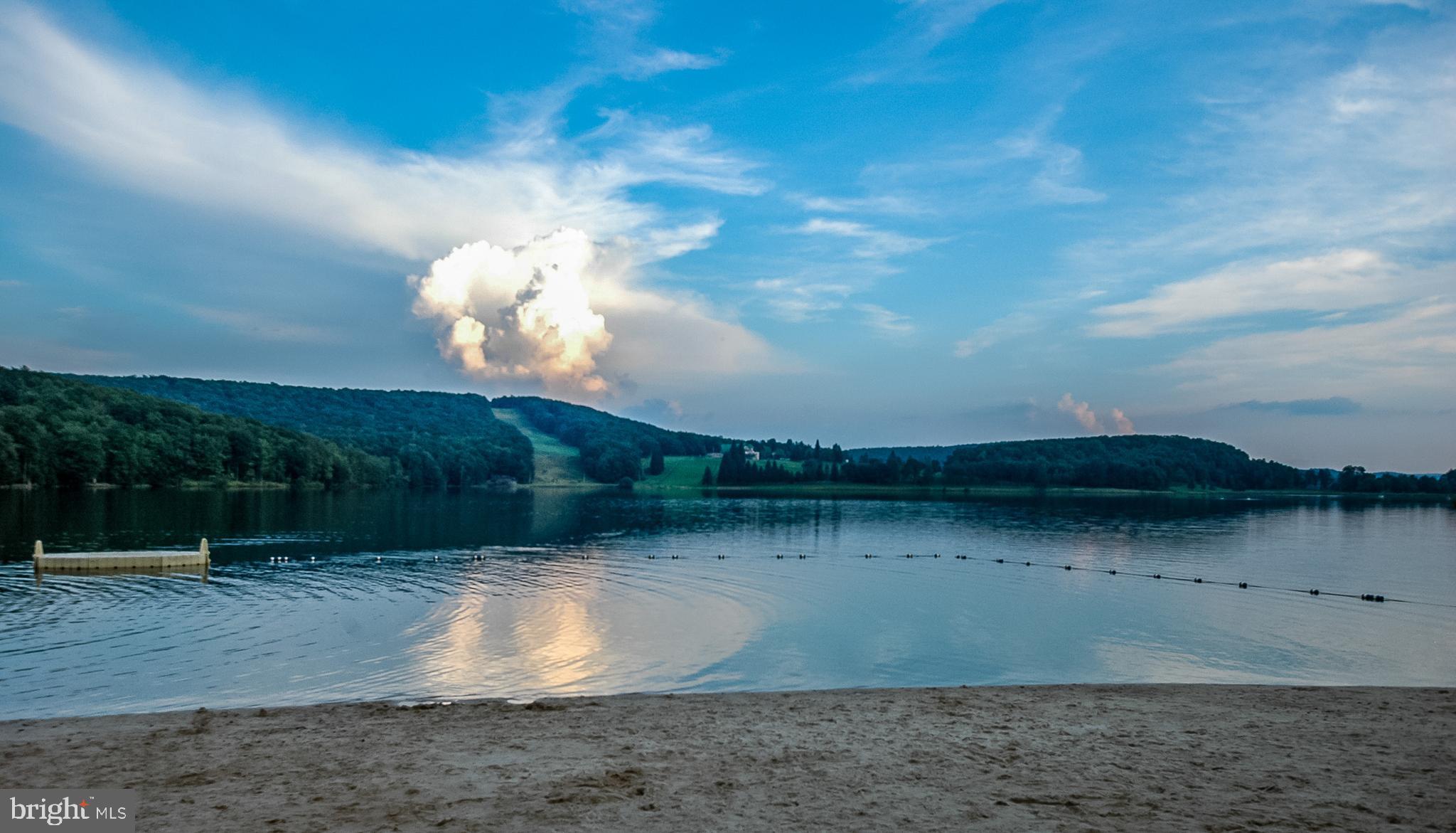 32 Bavarian Rhododendron Terra Alta, WV 26764 - Photo 6 of 15
