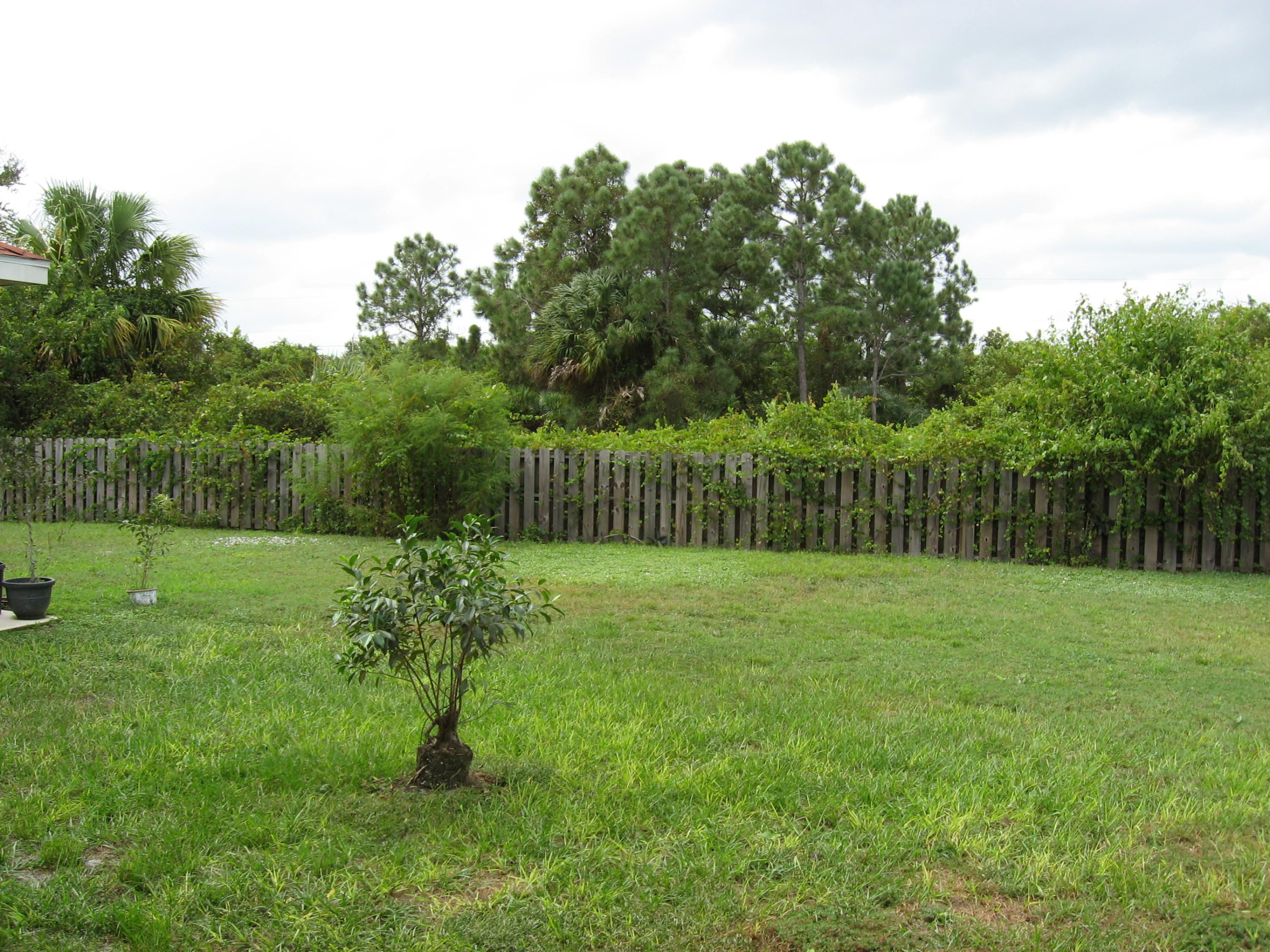 4432 Southwest Paley Road Port St. Lucie, FL 34953 - Photo 11 of 12 back yard