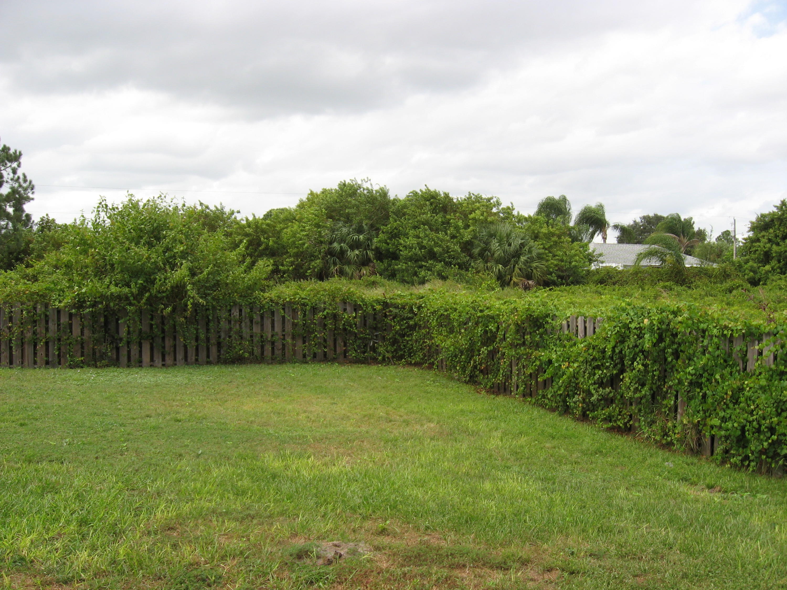 4432 Southwest Paley Road Port St. Lucie, FL 34953 - Photo 9 of 12 back yard 2