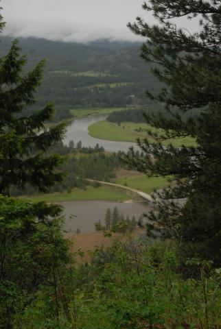 2019 Friedlund Road Kettle Falls, WA 99141 - Photo 3 of 8 Gallery Image 3