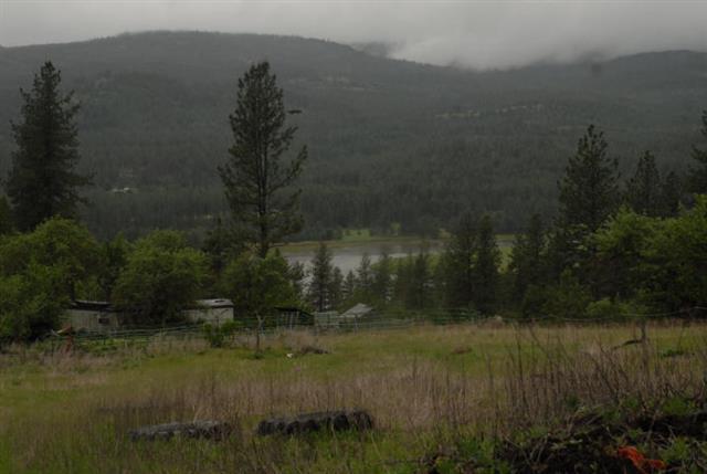 2019 Friedlund Road Kettle Falls, WA 99141 - Photo 5 of 8 Gallery Image 5