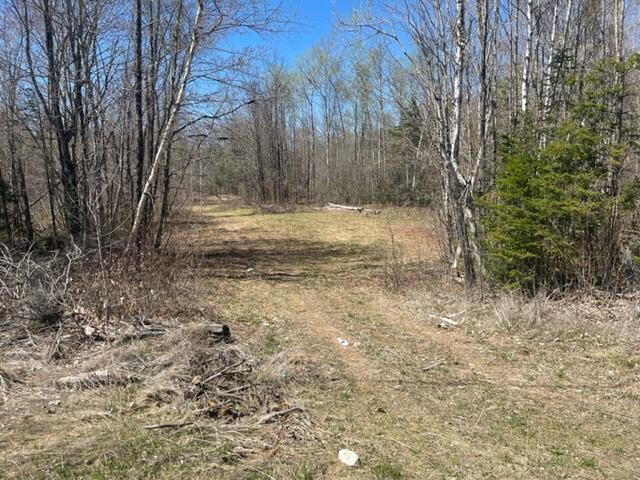 0 Hodgdon Mills Road Linneus, ME 04730 - Photo 1 of 12 IMG_9542