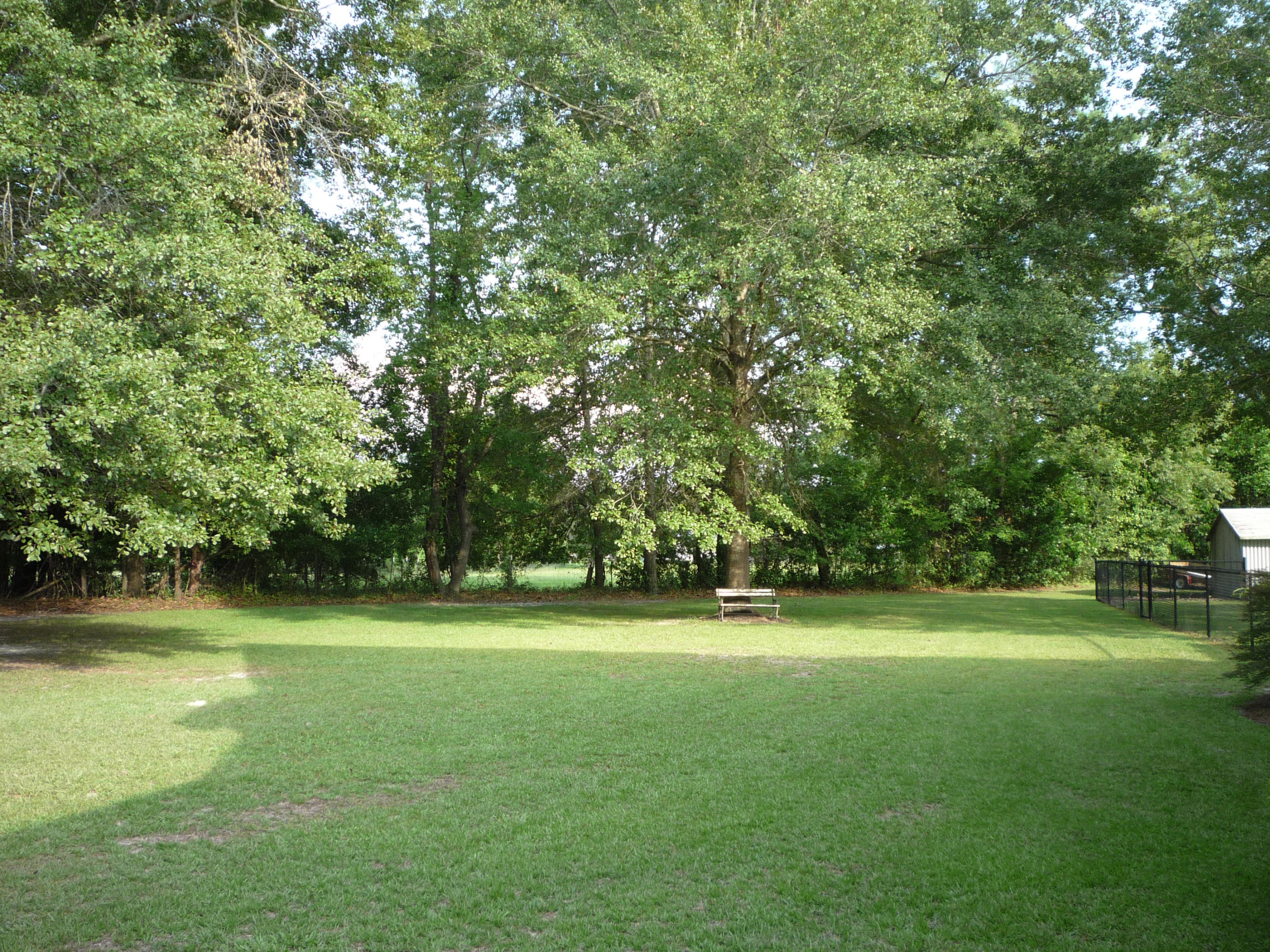1041 Hiers Corner Road Walterboro, SC 29488 - Photo 7 of 44 P1030438
