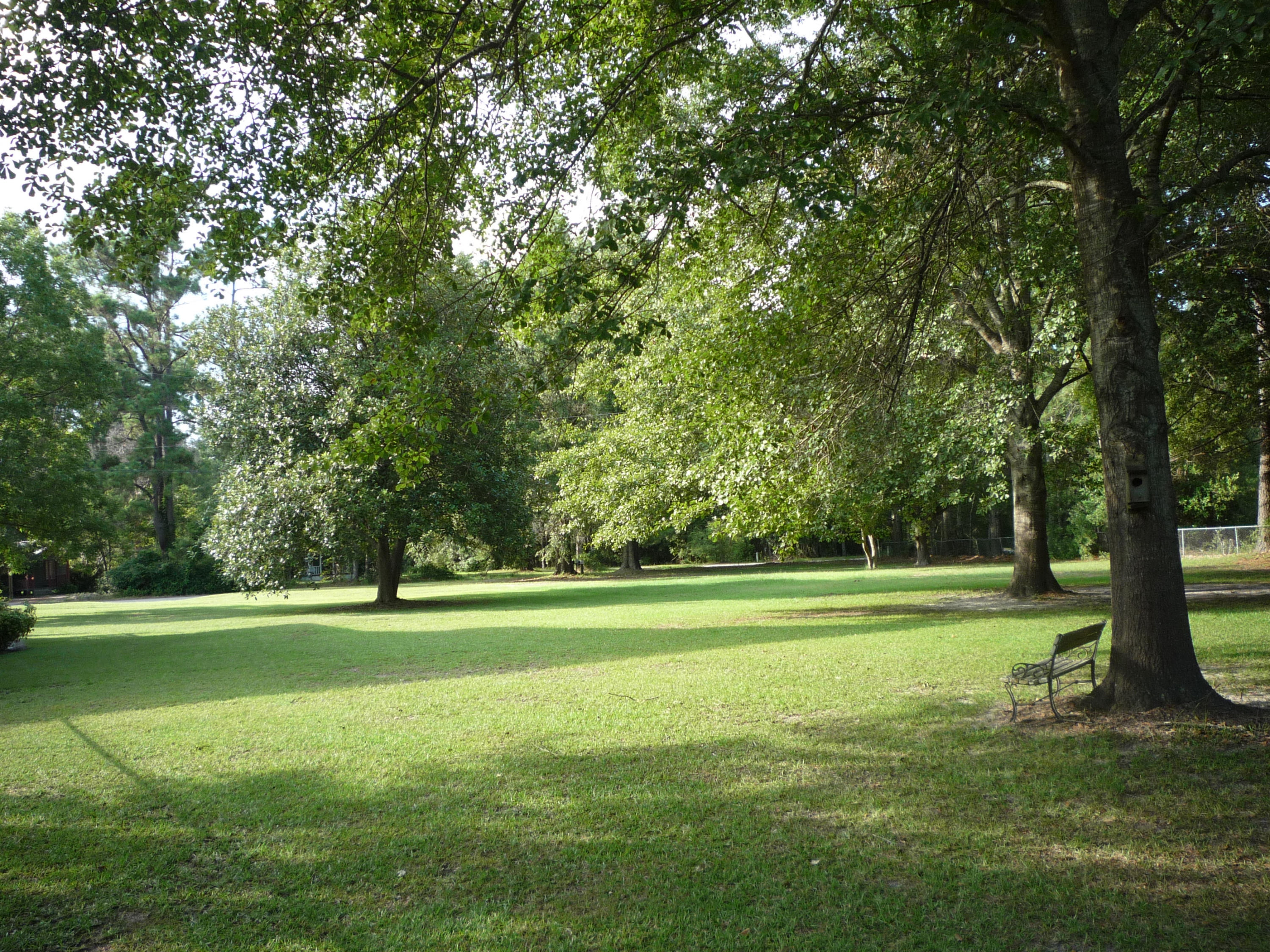 1041 Hiers Corner Road Walterboro, SC 29488 - Photo 8 of 44 P1030439