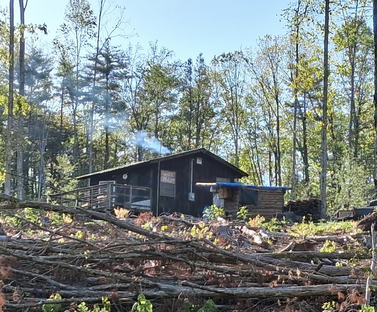233 Fingerboard Road Tellico Plains, TN 37385 - Photo 2 of 18 1000002172