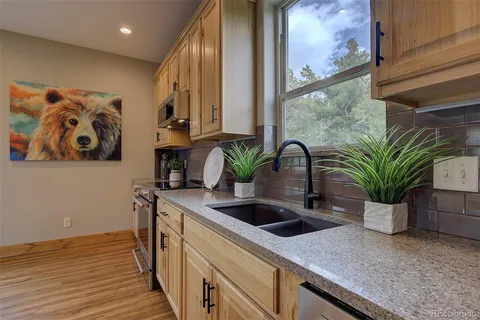 a kitchen with a sink a potted plant and a large window