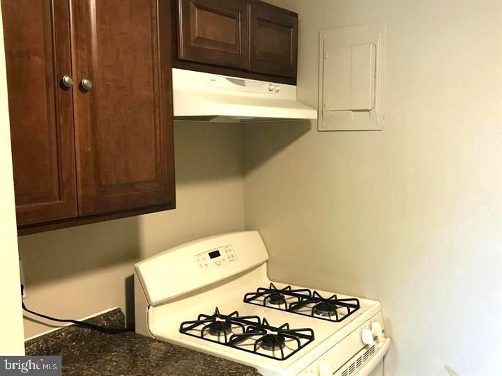 9282 Adelphi Road, Unit 303 Hyattsville, MD 20783 - Photo 8 of 16 Kitchen View