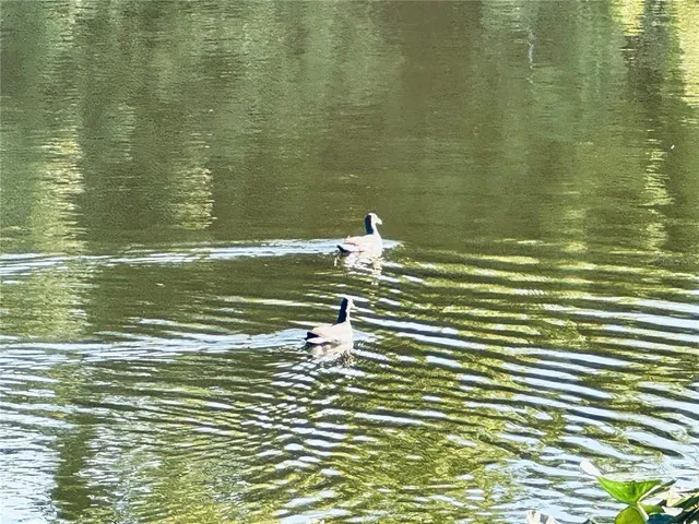 a bedroom with a large bed and a flat screen tv
