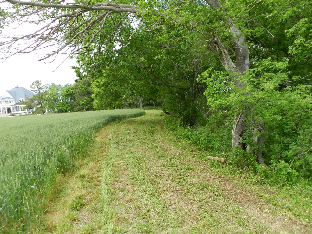 Lot1 Miles Wharf Road, Unit 1 Exmore, VA 23350 - Photo 21 of 33