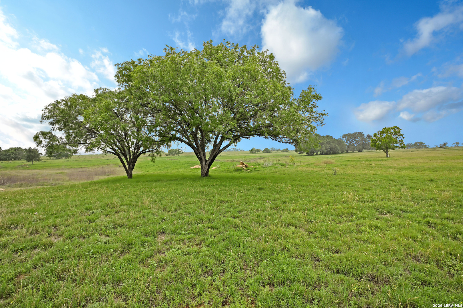 1335 North Gable Road St. Hedwig, TX 78152 - Photo 13 of 25