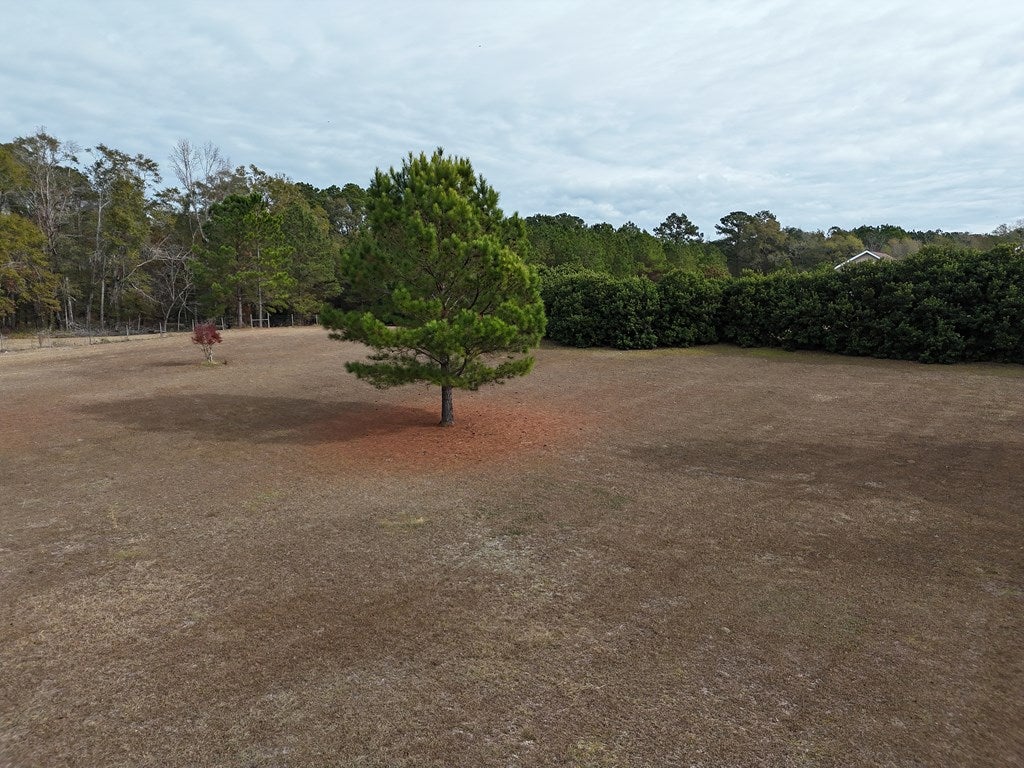 2-acr Lewis Road Cairo, GA 39828 - Photo 7 of 24 Gallery Image 7