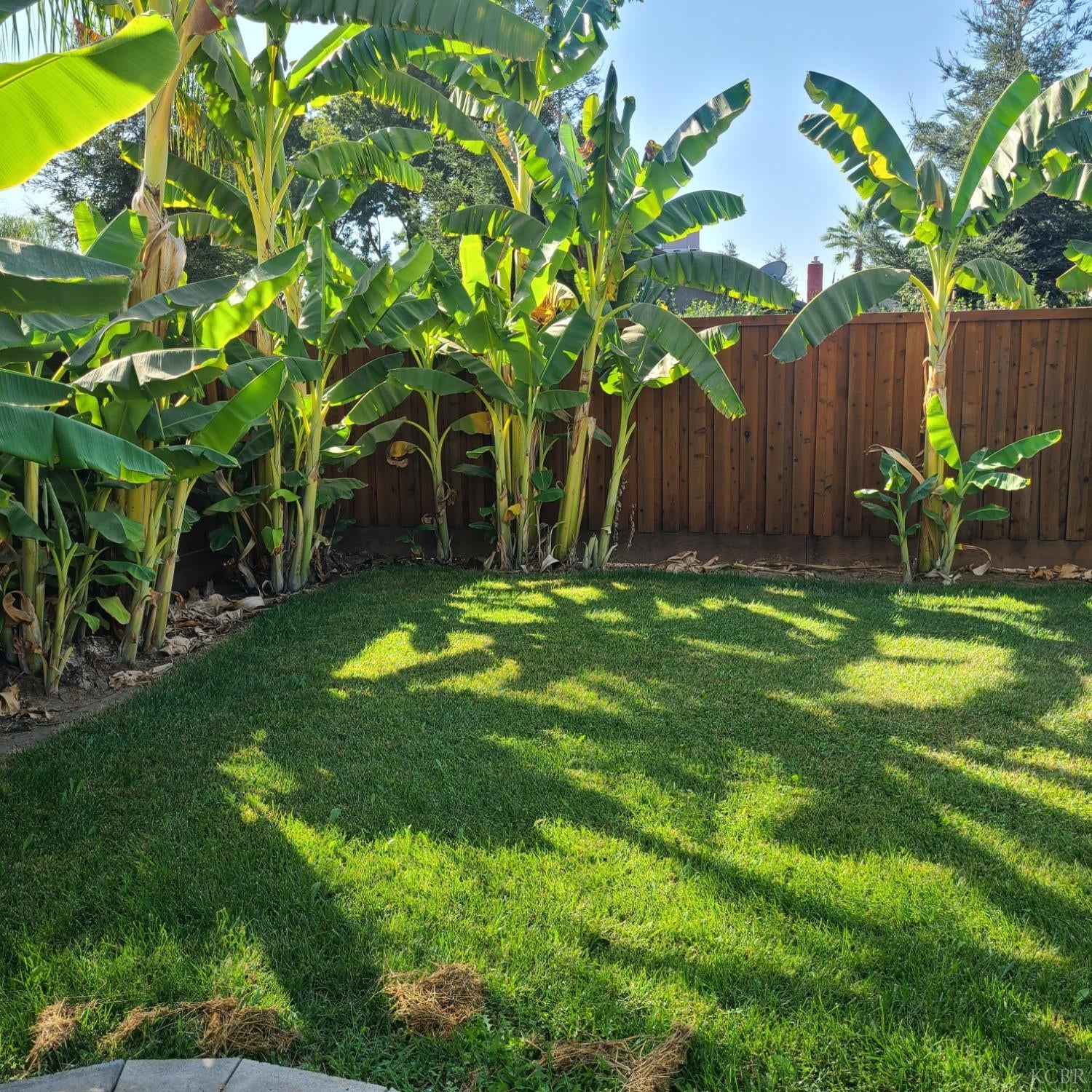 25 South Cornucopia Road Exeter, CA 93221 - Photo 44 of 64 Gallery Image 44