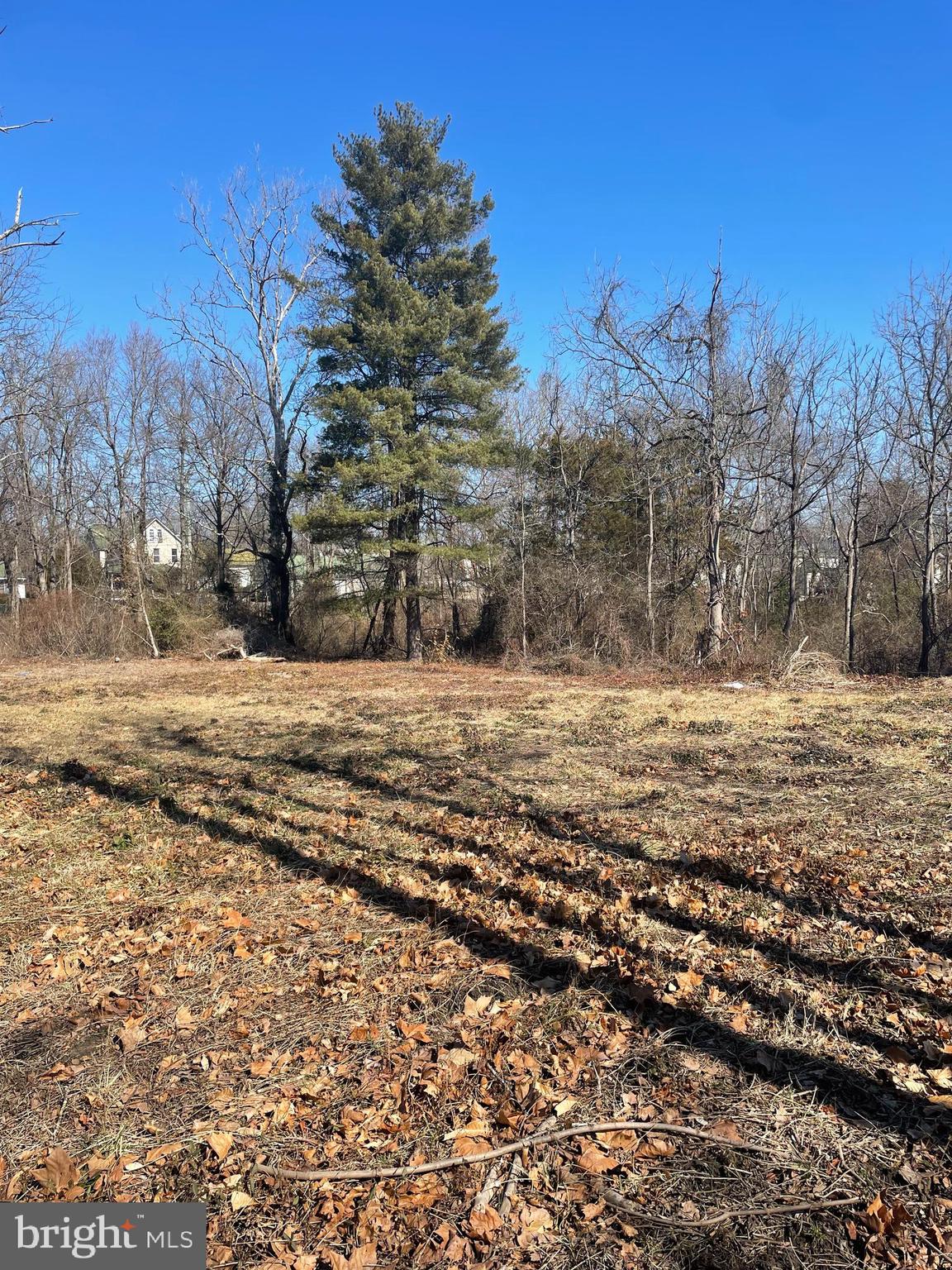 Parcel # 66 Parcel Rolling Mill North Mill North East, MD 21901 - Photo 3 of 4