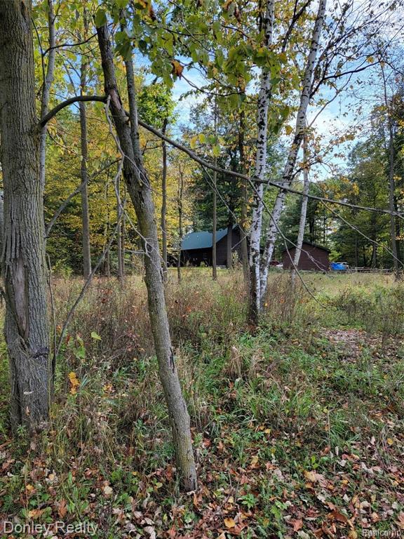 5752 Marlette Road Marlette, MI 48453 - Photo 45 of 52 Gallery Image 45