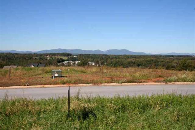 9 Ridgeburg Court, Unit CASTLE ROCK SUBDIVSION Greer, SC 29651 - Photo 4 of 5