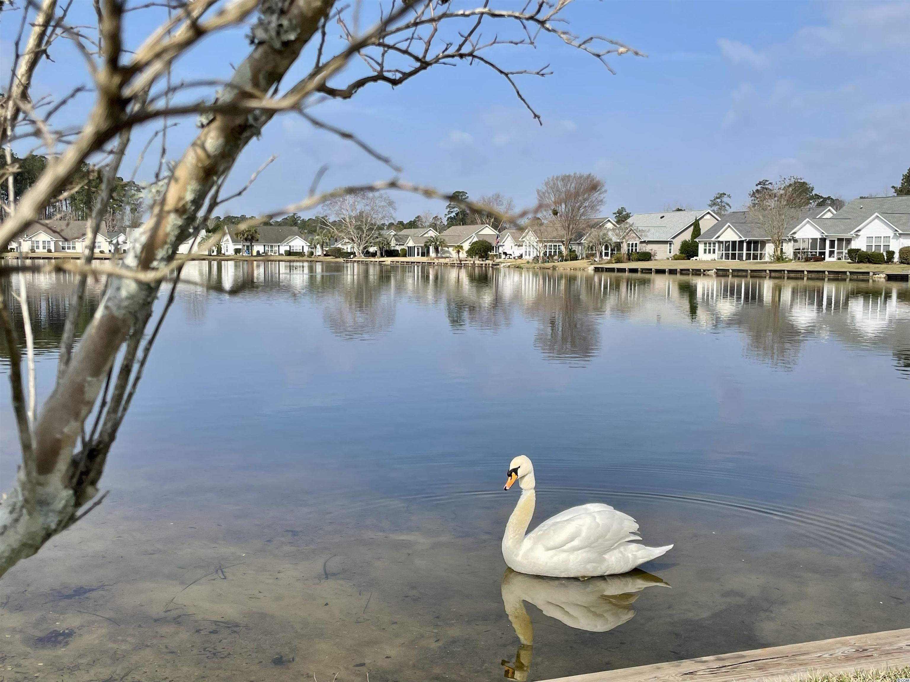 1120 Lampwick Lane Murrells Inlet, SC 29576 - Photo 11 of 38