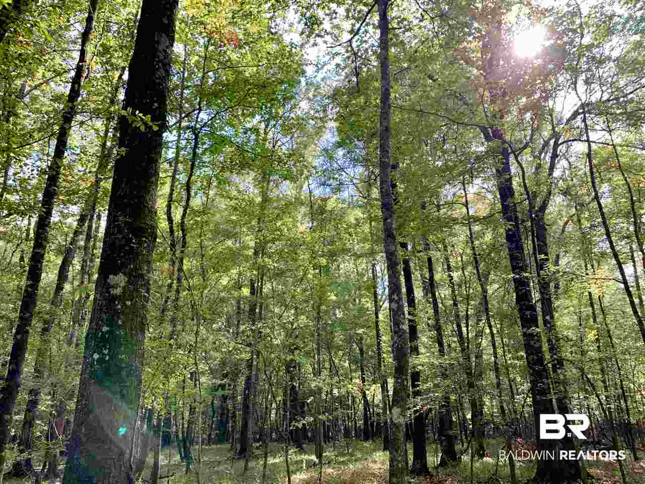 0 Holly Creek Road Stockton, AL 36579 - Photo 12 of 50