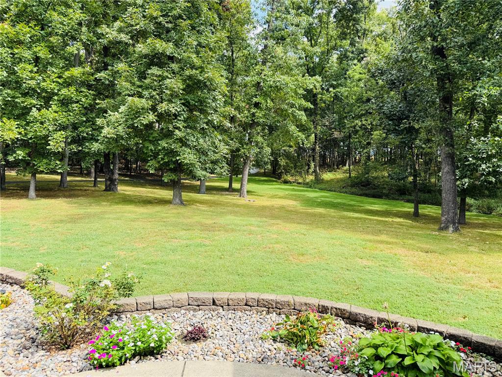 8539 Beaucoup Township Road Ashley, IL 62808 - Photo 16 of 70 Gallery Image 16