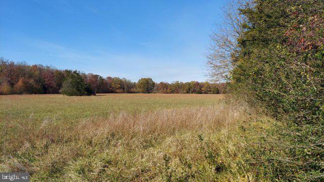 21336 Mt Pony Road Culpeper, VA 22701 - Photo 1 of 31 10.46 Acres Zoned Agriculture