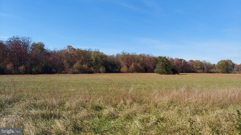 21336 Mt Pony Road Culpeper, VA 22701 - Photo 3 of 31 Gallery Image 3
