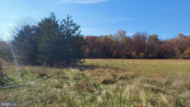 21336 Mt Pony Road Culpeper, VA 22701 - Photo 4 of 31 Gallery Image 4