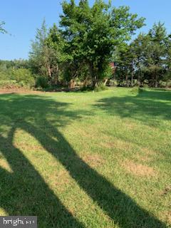21336 Mt Pony Road Culpeper, VA 22701 - Photo 5 of 31 Gallery Image 5