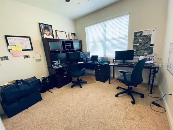 $3,595 | 3124 Majestic View Drive, Lutz, FL 33558