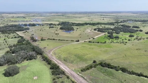 a view of a dry yard with trees