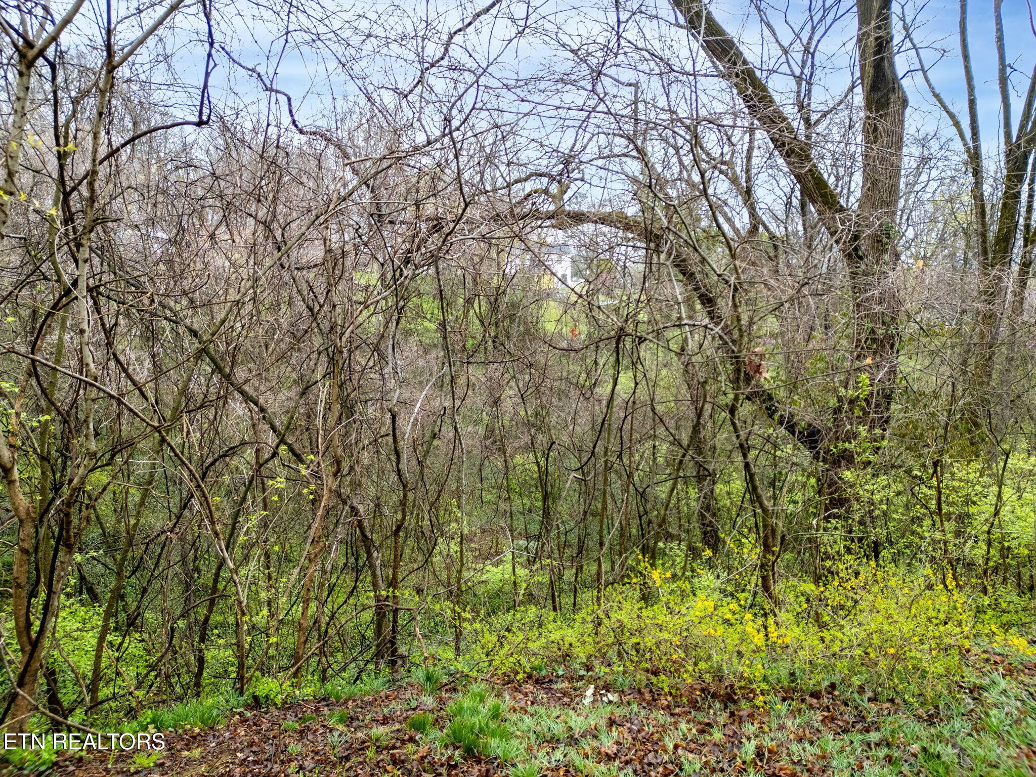 230 Hidell Road Knoxville, TN 37914 - Photo 30 of 32 Gallery Image 30