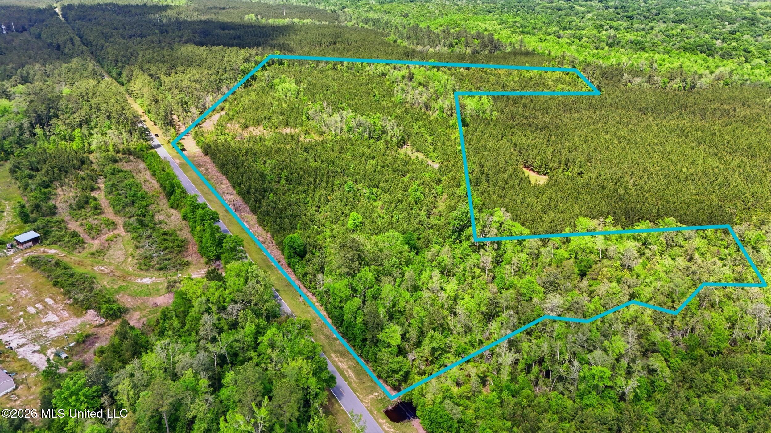 Vestry Road Perkinston, MS 39573 - Photo 4 of 35 dji_20260416135017_0614_d_lotlines
