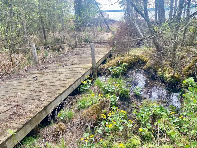 $119,000 | 32597 Quail Lane, Laporte, MN 56461